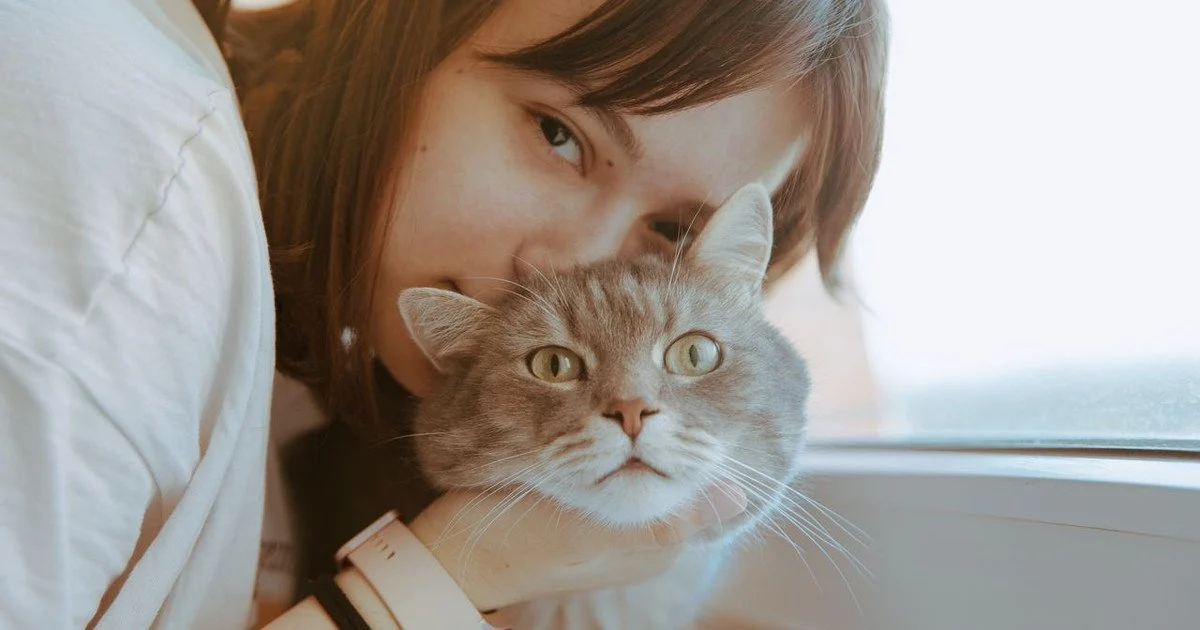 Які породи котів добре ладнають з дітьми