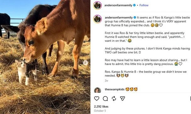 Дружба тварин Фото andersonfarmsemily.
