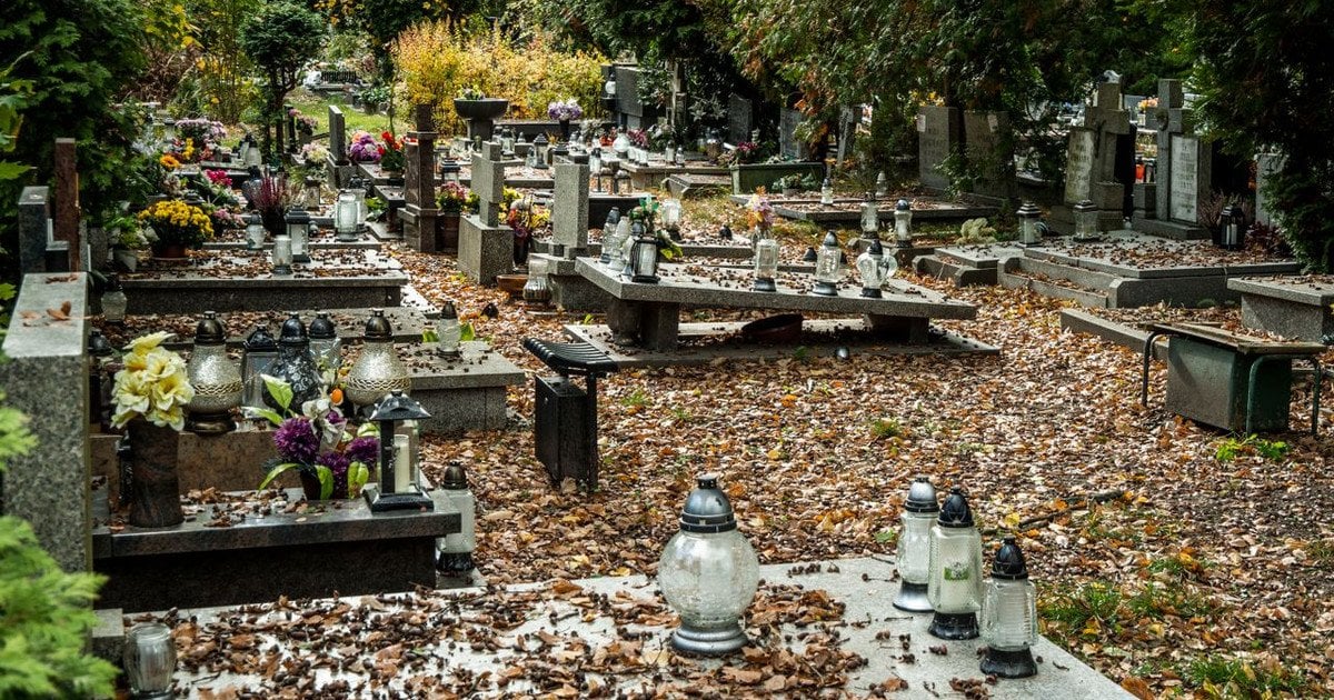 Дмитрівська батьківська субота 2026