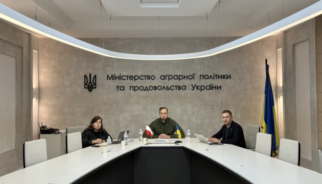 Україна і Польща розглядають можливість розширення транзиту зерна