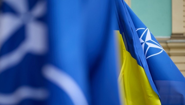 НАТО відкриє Україні доступ до централізованих закупівель озброєння
