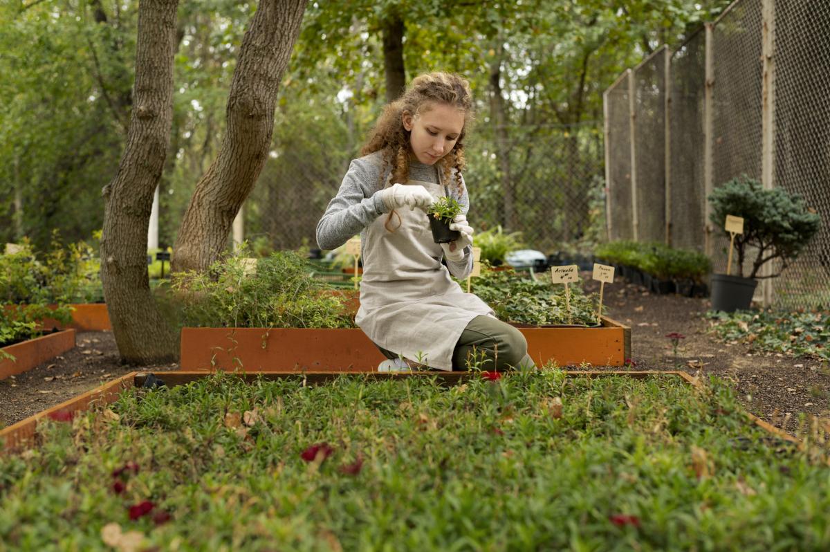 Які квіти можна висівати перед зимою